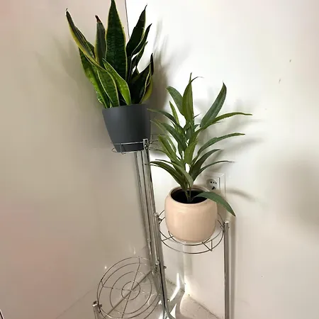 By The Sea - 24250 Appartement